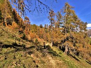PIZZO BADILE (2044 m) ad anello colorato d’autunno da Piazzatorre-31ott22- FOTOGALLERY